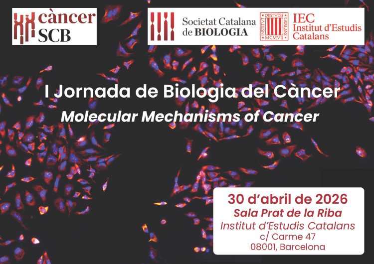 jornada biologia cancer image